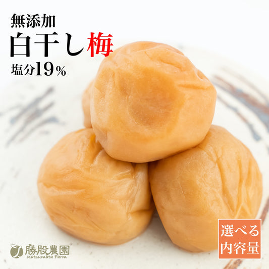 塩のみで漬けた白干し梅 塩分19% 250g 添加物不使用 全国送料無料