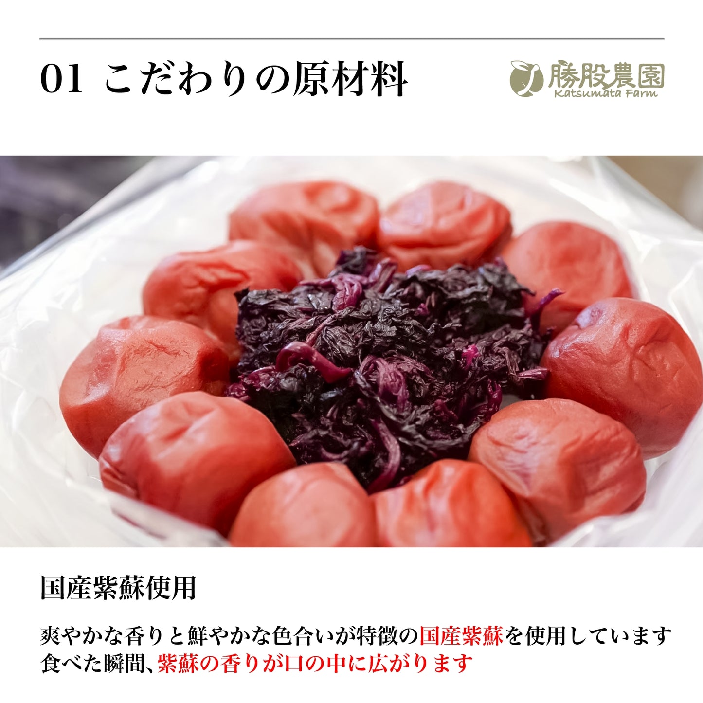 紫蘇と塩のみで漬け込んだ紀州南高梅 塩分15％ 250g 添加物不使用 全国送料無料