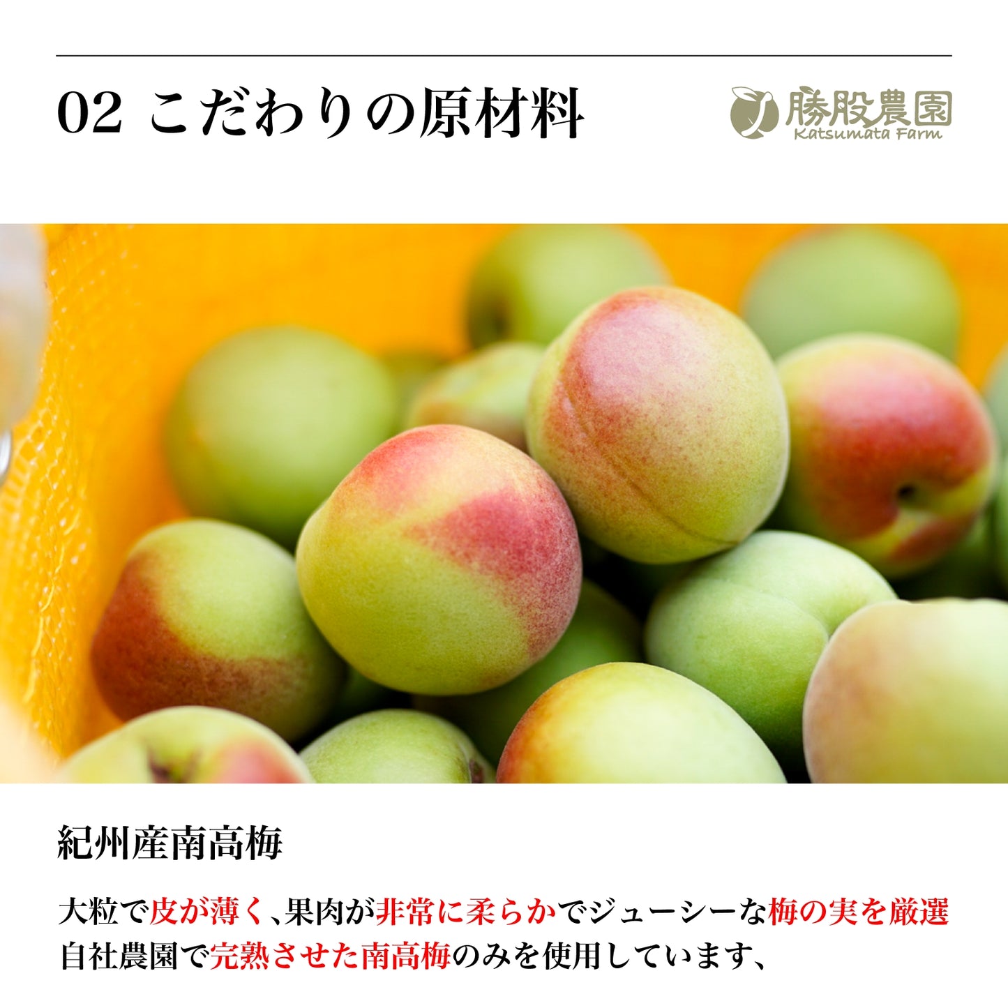 紀州南高 かつお梅 塩分8% 250g 全国送料無料