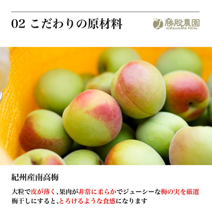 紫蘇と塩のみで漬け込んだ紀州南高梅 塩分15％ 250g 添加物不使用 全国送料無料