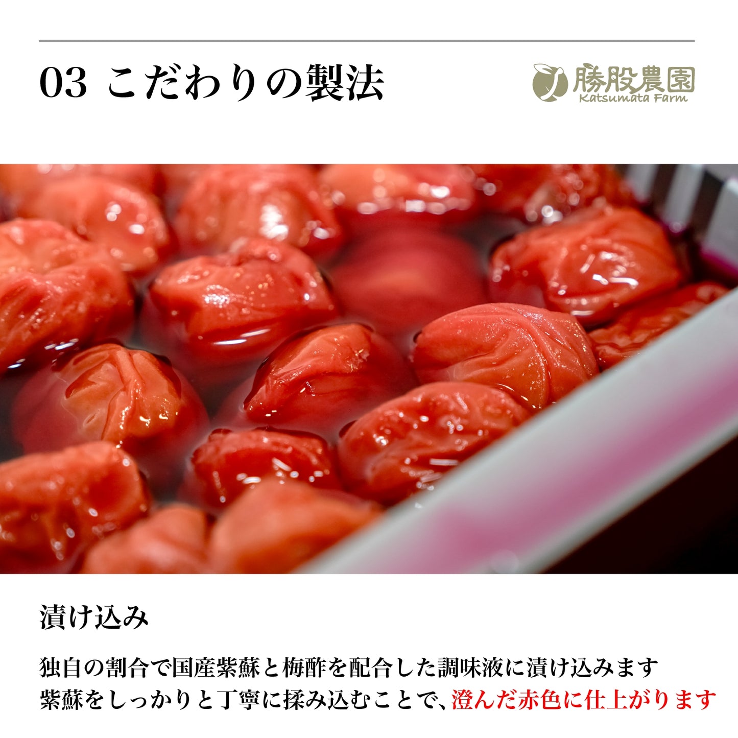 紫蘇と塩のみで漬け込んだ紀州南高梅 塩分15％ 250g 添加物不使用 全国送料無料