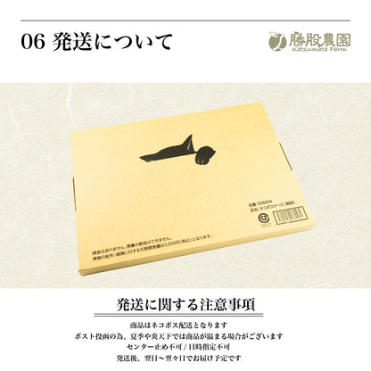 紀州南高 かつお梅 塩分8% 250g 全国送料無料