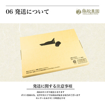 紫蘇と塩のみで漬け込んだ紀州南高梅 塩分15％ 250g 添加物不使用 全国送料無料