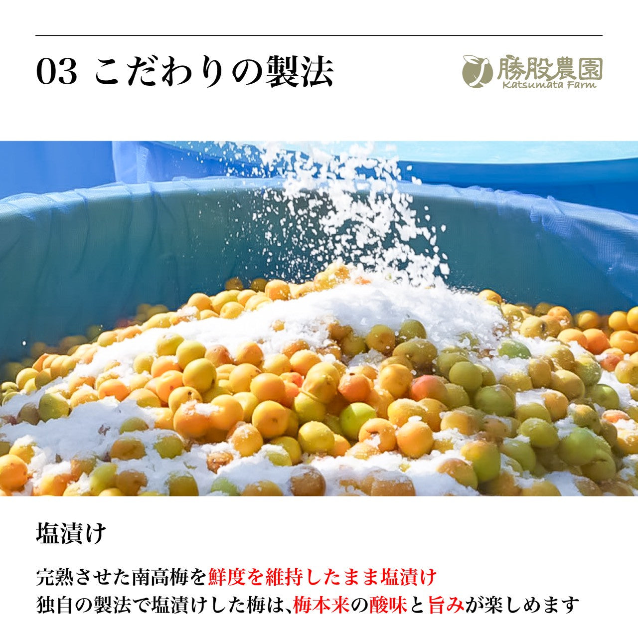 塩のみで漬けた白干し梅 塩分19% 250g 添加物不使用 全国送料無料
