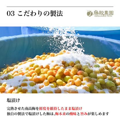 塩のみで漬けた白干し梅 塩分19% 250g 添加物不使用 全国送料無料