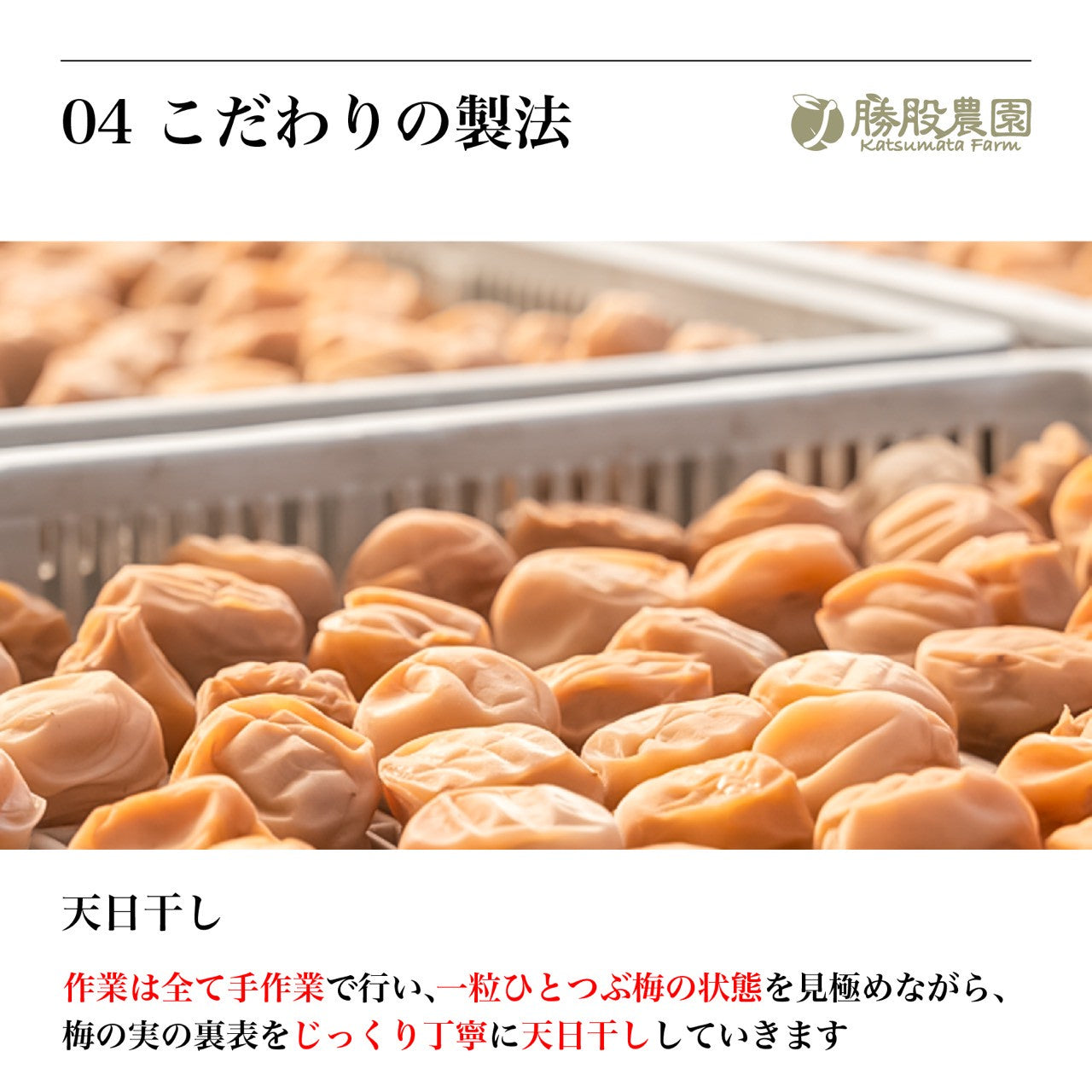 塩のみで漬けた白干し梅 塩分19% 250g 添加物不使用 全国送料無料