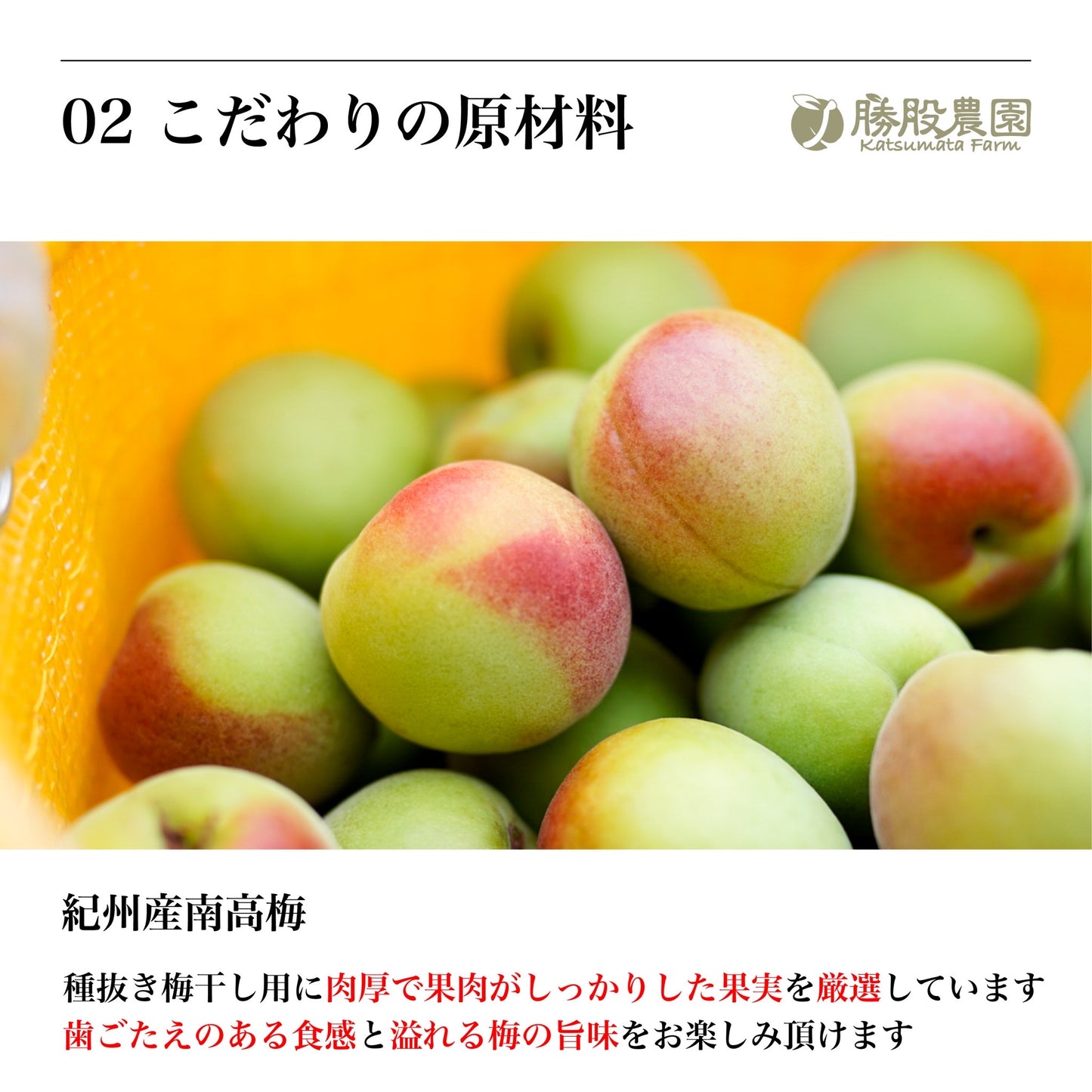 種ぬき梅 白干し 塩分19% 300g 紀州南高梅 勝股農園 和歌山県みなべ町 送料無料