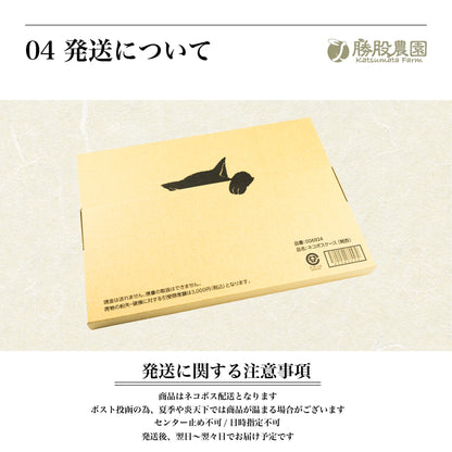 種ぬきはちみつ梅 塩分8% 300g 紀州南高梅  勝股農園 和歌山県 みなべ町 送料無料