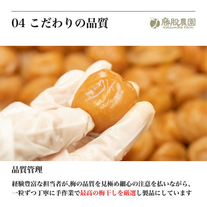 減塩はちみつ梅 塩分3% 紀州南高梅 送料無料