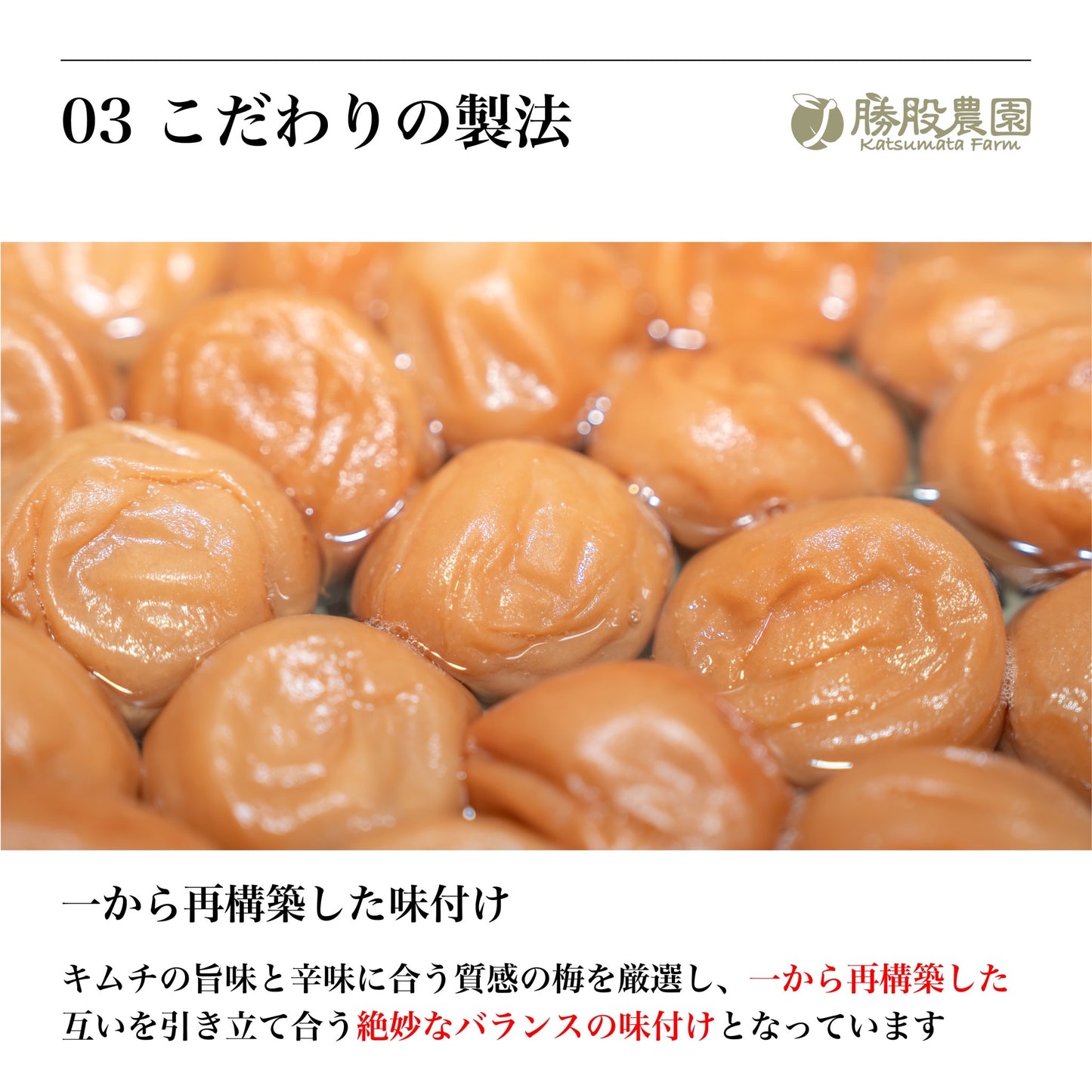 きむちうめ【勝股農園×高麗食品】梅干し キムチ